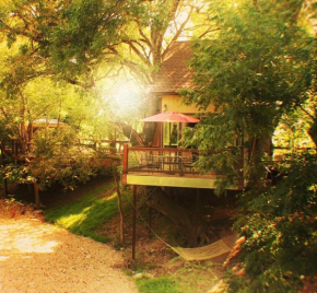  River Rd Treehouses- Cardinal Casita  Каньон Лейк